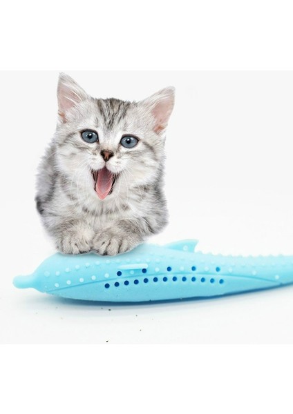Catnip Kedi Dişleri Temizleme Silikon Yunus Oyuncak (Yurt Dışından)