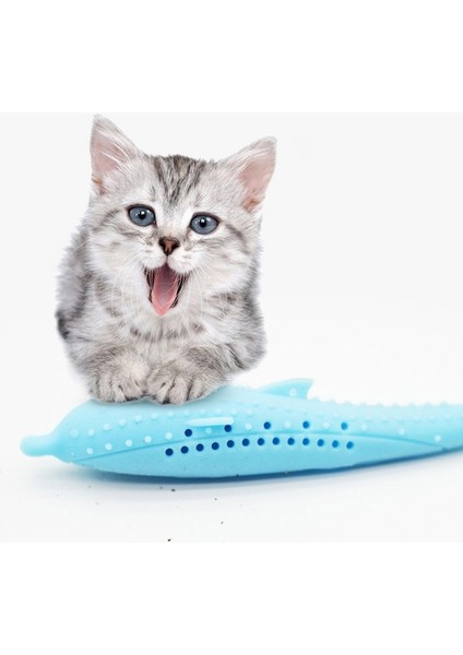 Catnip Kedi Dişleri Temizleme Silikon Yunus Oyuncak (Yurt Dışından)