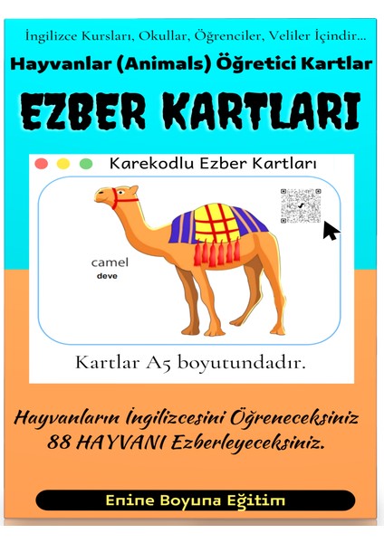 Ingilizce Hayvanlar (Animals) Ezber Kartları