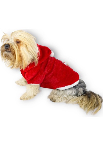 Santa Time Yılbaşı Köpek Sweatshirt, Noel Sweatshirt fırsatları