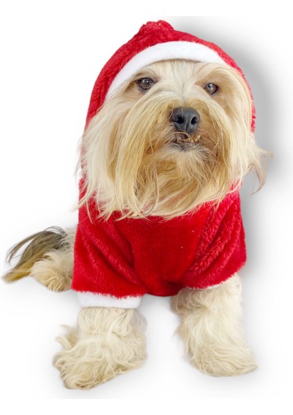 Santa Time Yılbaşı Köpek Sweatshirt, Noel Sweatshirt indirimleri