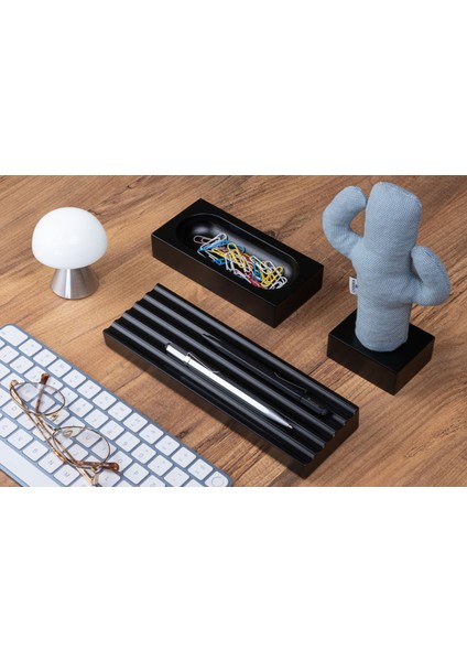 Kayigo Cactus Lavanta Dolgulu Notluk / Mavi - Siyah modelleri