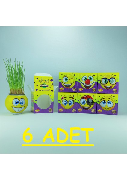 Çim Adam Çimoji Kutulu 6 Adet