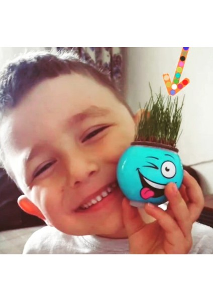 Çim Adam Çimoji Kutulu 6 Adet modelleri