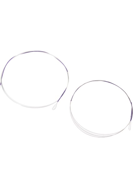 Profesyonel Dizeler Enstrüman Aksesuarı Çince Erhu String (Yurt Dışından)