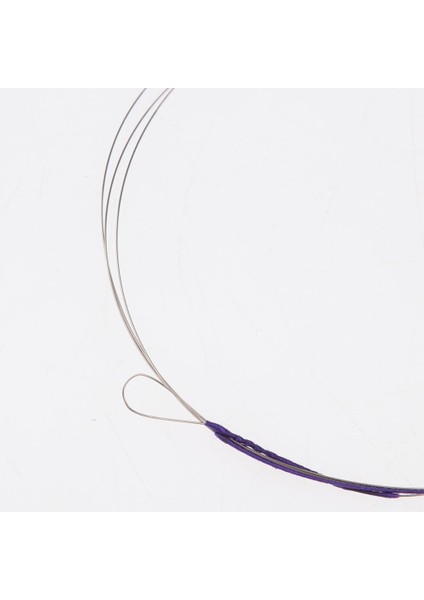 Profesyonel Dizeler Enstrüman Aksesuarı Çince Erhu String (Yurt Dışından) fırsatları