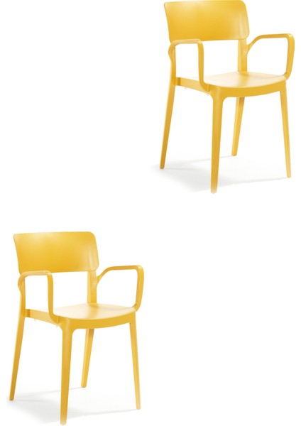 Panora Renkli Koltuk 2'li Set Hardal