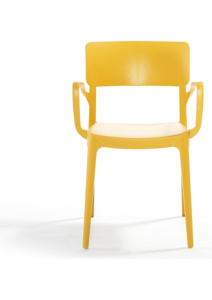 Panora Renkli Koltuk 2'li Set Hardal fiyatları