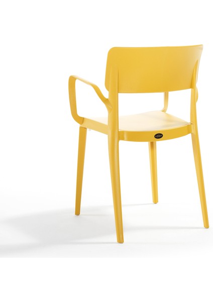 Panora Renkli Koltuk 2'li Set Hardal modelleri