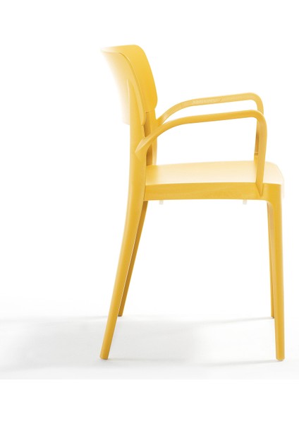 Panora Renkli Koltuk 2'li Set Hardal fırsatları