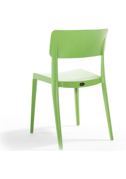 Pano Renkli Sandalye 6'lı Set Yeşil modelleri