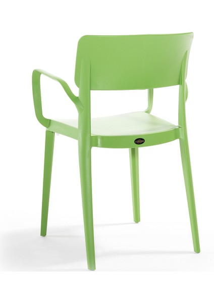 Panora Renkli Koltuk 6'lı Set Yeşil fiyatları