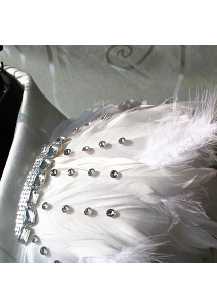 Broş Pim Rozetleri Emzirilen Diy Zanaat Moda Parti Bar Şarkıcısı Gösterim Beyaz Tüy (Yurt Dışından) fırsatları