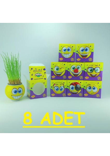 Çim Adam Çimoji Kutulu 8 Adet