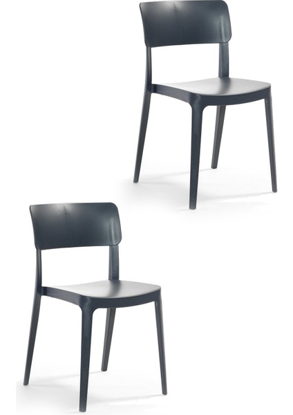 Pano Renkli Sandalye 2'li Set Antrasit