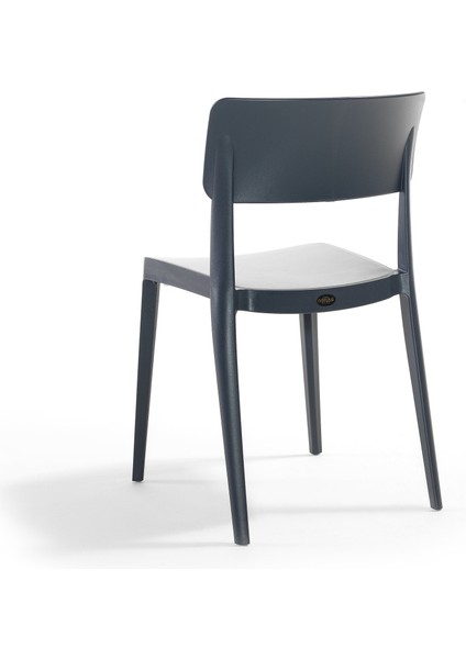 Pano Renkli Sandalye 2'li Set Antrasit modelleri