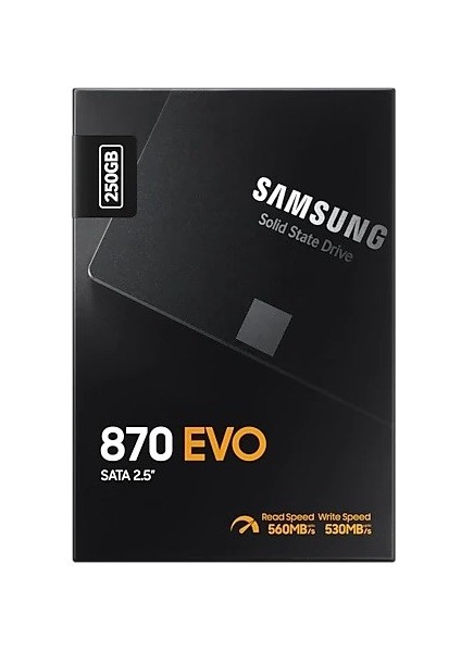 250GB 870 Evo 560/530MB MZ-77E250BW