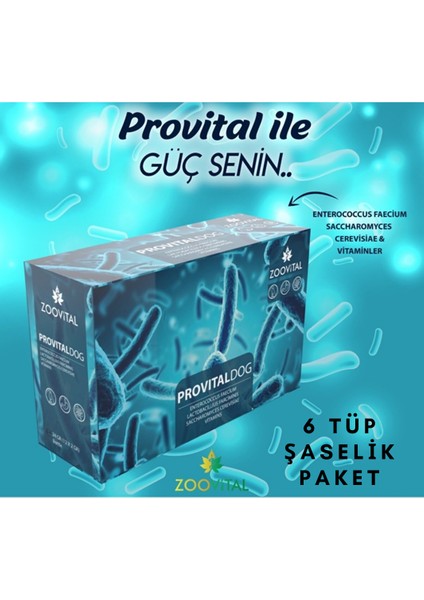 Provital Dog Prebiyotik Probiyotik Tamamlayıcı Yem 6 Şase (6x2 Gr)