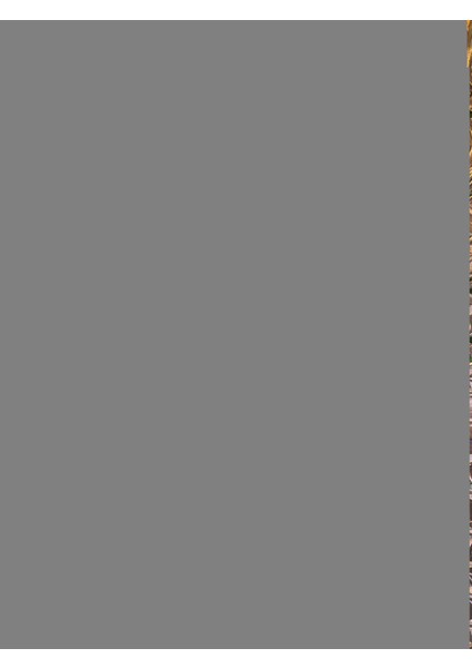 Kırmızı Kadife, Noel, Yılbaşı, Özel Gün, Kız Çocuk Abiye, Doğum Günü, Kutlama Elbisesi Christmas Dress