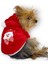 Santa Time Yılbaşı Köpek Sweatshirt, Noel Sweatshirt 2