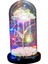 Galaxy Rose Flower Hediye Büyülü Rose LED String Işık Hediyeler Stil5 (Yurt Dışından) 3