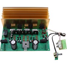 Hıfı 500W Audio Power Mono Stereo Dıy Modül Geliştirme Kurulu(Yurt Dışından)