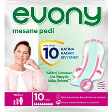 EVONY Günlük Mesane Pedi Yoğun 60 Adet
