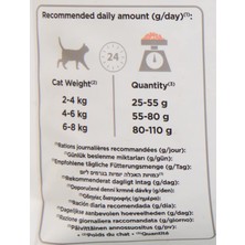 Purina Pro Plan Sterilised Somonlu Kuru Kedi Maması 3 kg