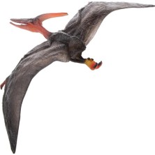 Meetsue Gerçekçi Kretase Pteranodon Model Oyuncak Aksiyon Figürü Koleksiyonu (Yurt Dışından)