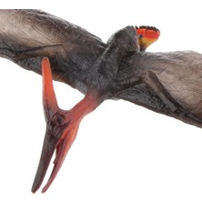 Meetsue Gerçekçi Kretase Pteranodon Model Oyuncak Aksiyon Figürü Koleksiyonu (Yurt Dışından)