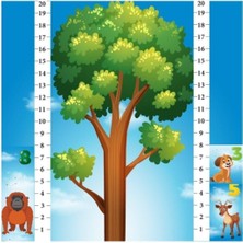 Learned Games Math Forest Matematik Oyunu