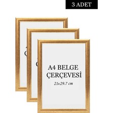 Özcanlar Çerçeve 3 Lü Set A4(21X29.7) Diploma Çerçevesi Belge Çerçeveleri Sertifika Çerçevesi
