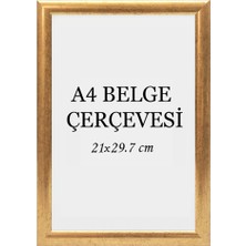 Özcanlar Çerçeve Diploma Çerçevesi  Belge Çerçevesi Sertifika Fotoğraf Çerçevesi A4  Tekli Boş Çerçeve 21X29,7-21X30
