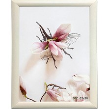 Özcanlar Çerçeve Hediyelik Çerçeve Ev Home Ofis Kişiye Özel Resim Çerçevesi Masaüstü 25X30