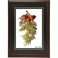 Özcanlar Çerçeve Hediyelik Çerçeve Ev Home Ofis Kişiye Özel Resim Çerçevesi Masaüstü 25X38
