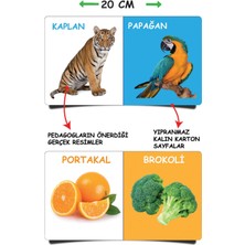 Diytoy 0-3 Yaş Eğitici Kitaplar Ilk Kütüphanem - Eğitim Seti