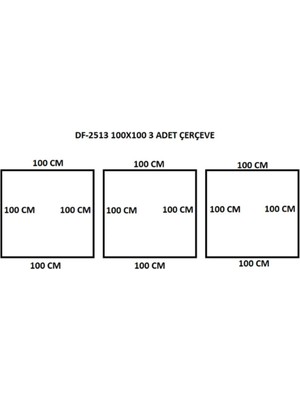 Apsis Ticaret Çerçeve 100X100 3 Adet Dekoratif 12 Metre (DF-2513)