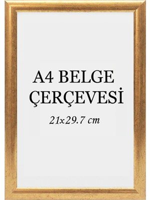 Özcanlar Çerçeve Diploma Çerçevesi  Belge Çerçevesi Sertifika Fotoğraf Çerçevesi A4 Tekli Boş Çerçeve 21X30
