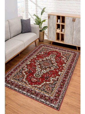 Napoli Home Dijital Kaymaz Taban Yıkanabilir Renkli Salon Halısı Mutfak Halısı Yolluk ND-SD-524