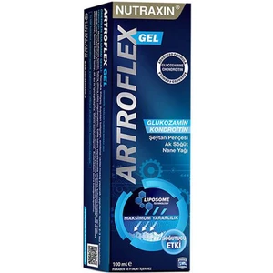 Artroflex Gel 100 ml