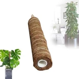 Koko Sarmaşık Destek Çubuğu 60CM
