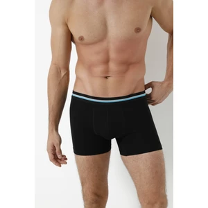 3'lü Boxer