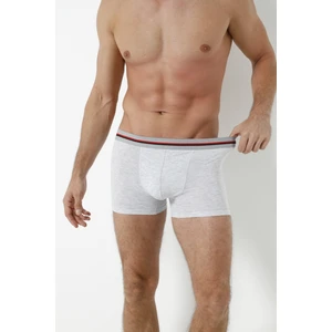 Boxer