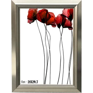 Özcanlar Çerçeve Hediyelik Çerçeve Dekorasyon Kişiye Özel Resim Çerçevesi A4 Diploma 21X29,7 Gümüş