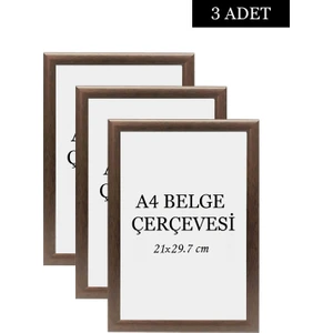 Özcanlar Çerçeve 3 Lü Set A4(21X29.7) Diploma Çerçevesi Belge Çerçeveleri Sertifika Çerçevesi
