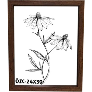 Özcanlar Çerçeve Hediyelik Çerçeve Dekorasyon Kişiye Özel Resim Çerçevesi 24X30
