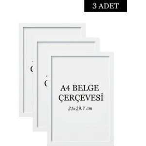Özcanlar Çerçeve 3 Lü Set A4(21X29.7) Diploma Çerçevesi Belge Çerçeveleri Sertifika Çerçevesi