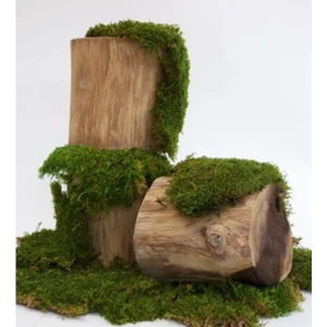 Trend Bahçe Flatmoss Kara Yosunu 500 Gr. Doğal Kaya Yosunu