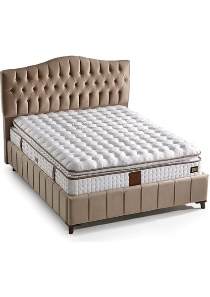 Md Elegance Pedli 120X200 Tek Kişilik Yatak GM135