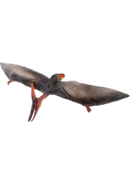 Gerçekçi Kretase Pteranodon Model Oyuncak Aksiyon Figürü Koleksiyonu (Yurt Dışından)